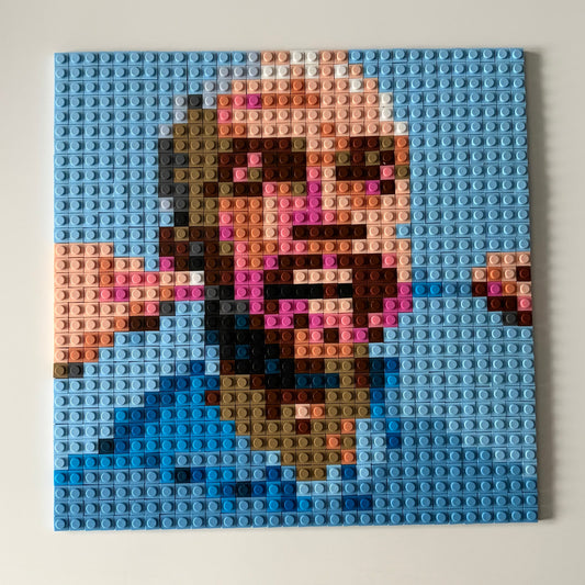 „papuga” album z klocków